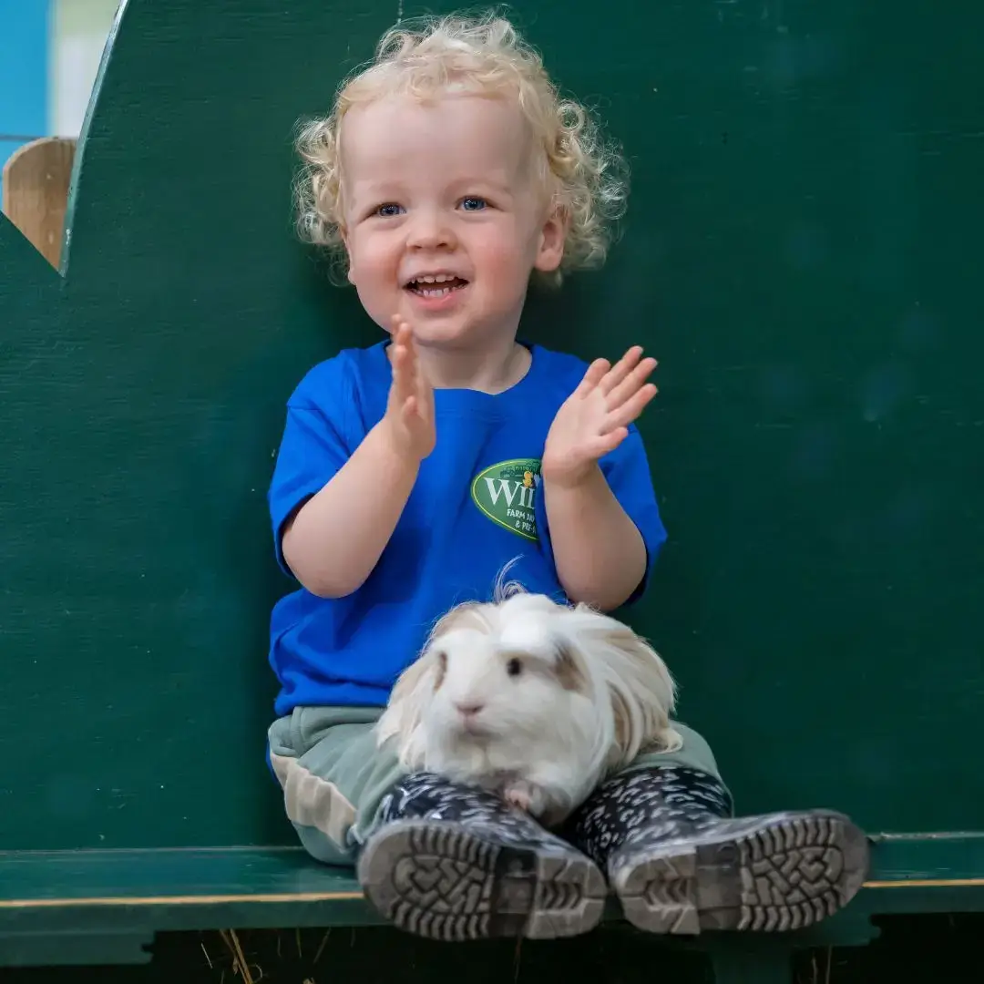 Willows Farm Day Nursery Supervised daily farm visits